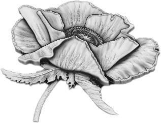 pauline-hatfield-week-1-image-2