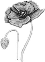 simon-weston-week-2-image-2