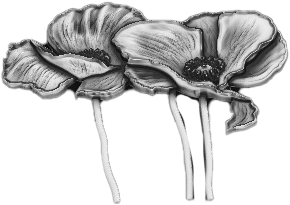 stephen-moran-week-4-image-2