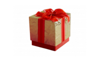 The BRONZE Mystery Box '2025'