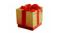 The GOLD Mystery Box '2025'