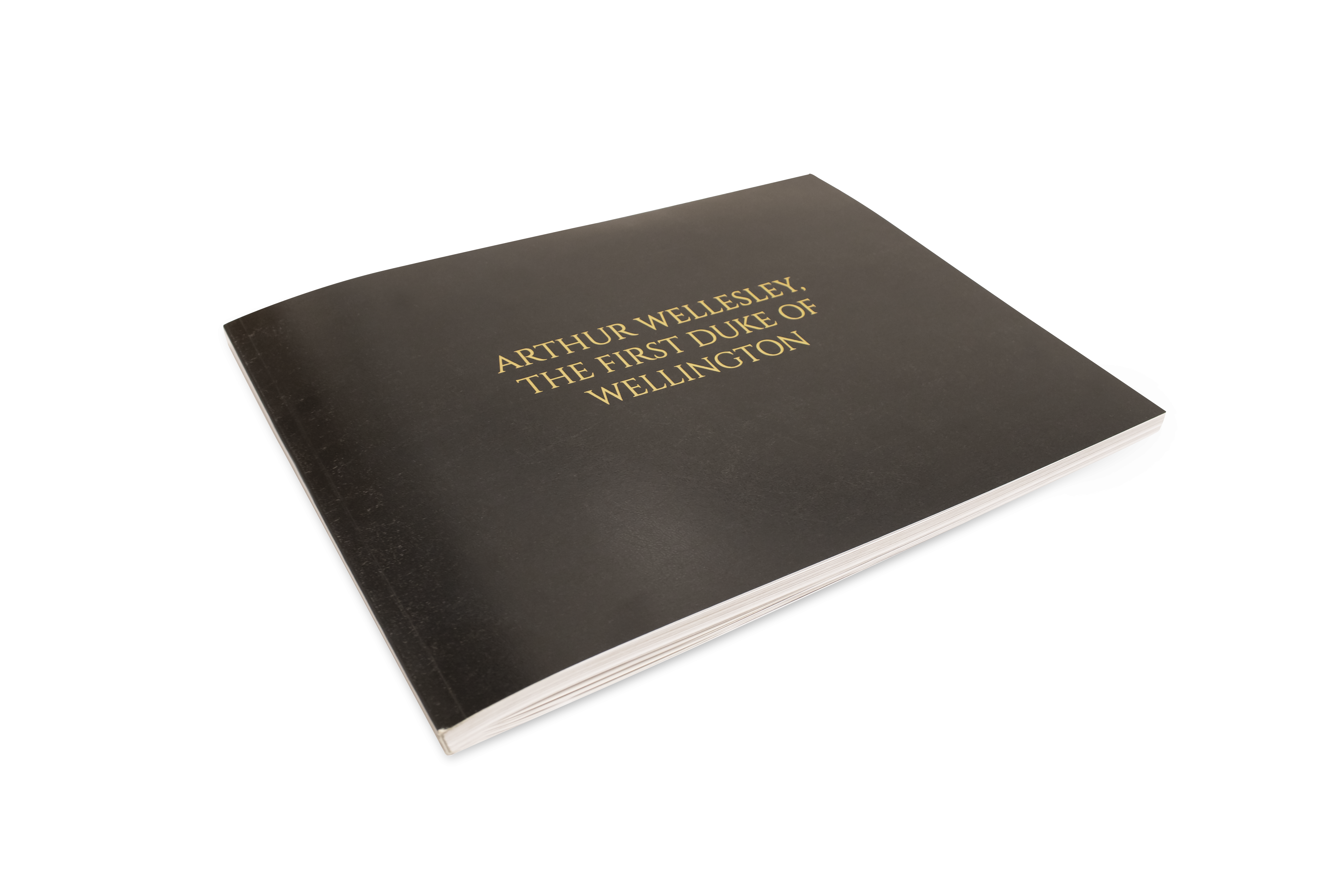 Napoleon Book-Photo 3