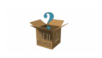 Bronze Queen Elizabeth Mystery Box