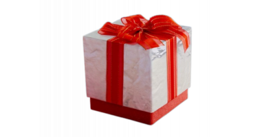 The SILVER Mystery Box '2025'