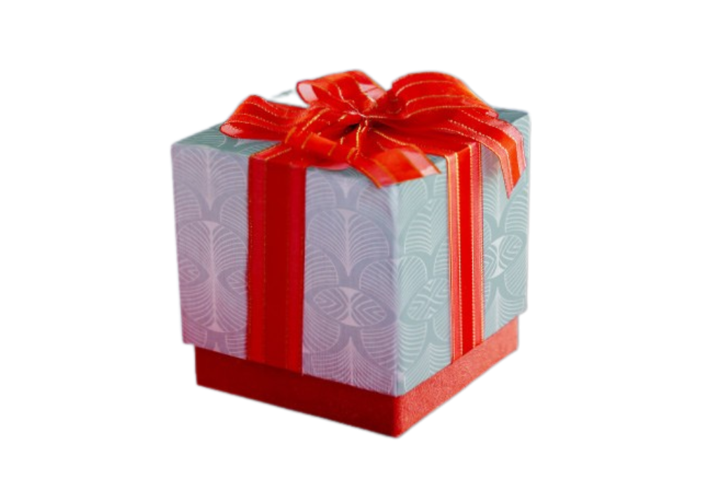 The VIP Mystery Box '2025'