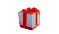 The VIP Mystery Box '2025'