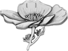 will-kevans-week-5-image-2